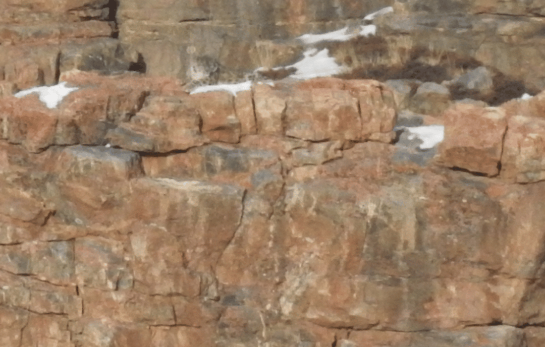 Image 72
